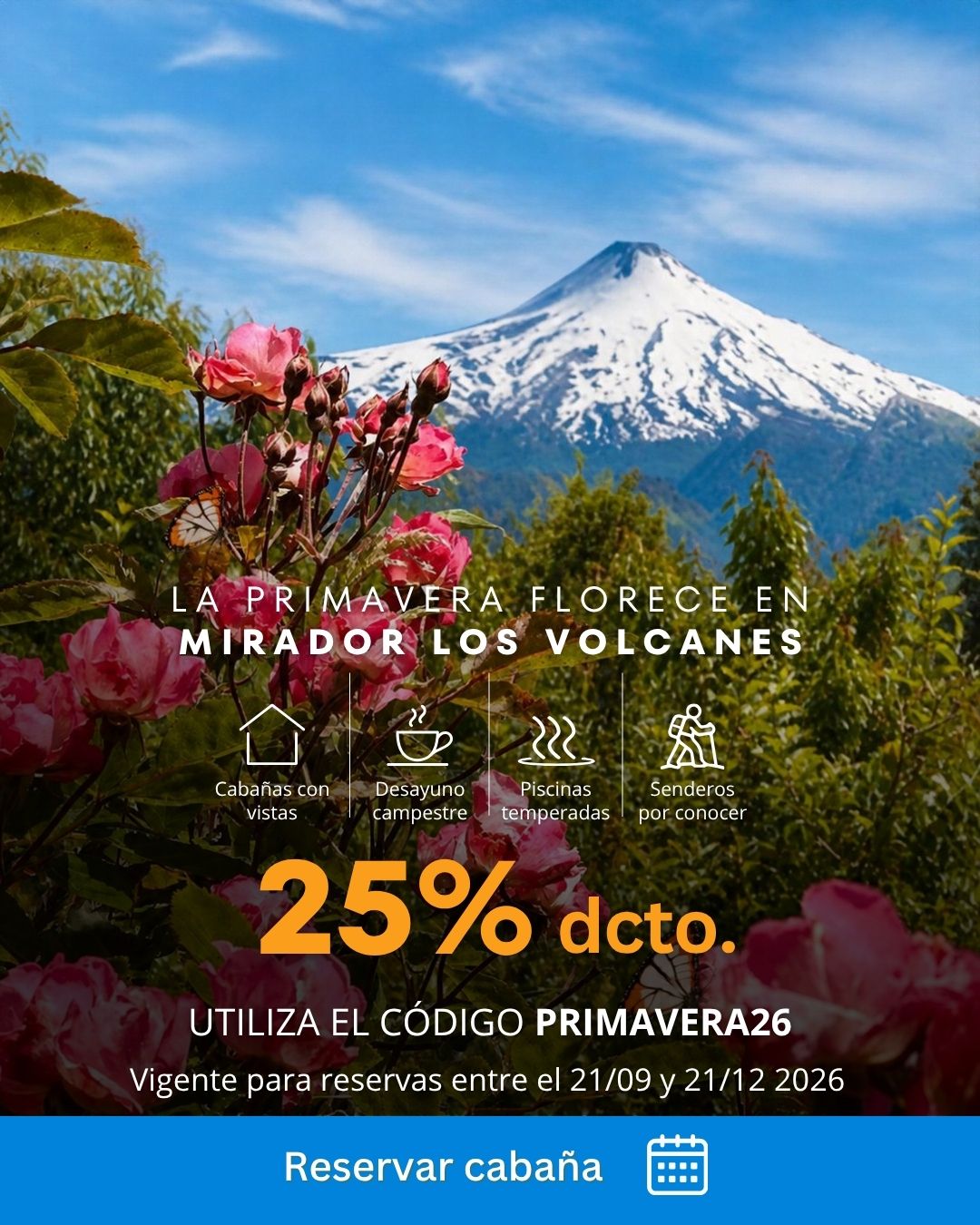 mlv_primavera